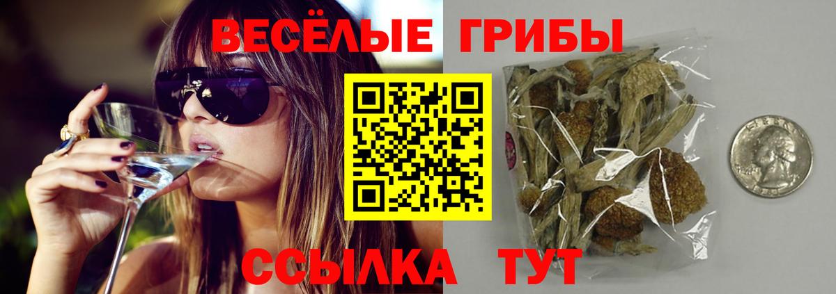 Галлюциногенные грибы Psilocybine cubensis Озёрск